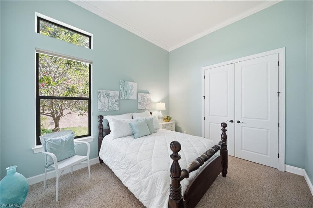 8816 Savona CT-20