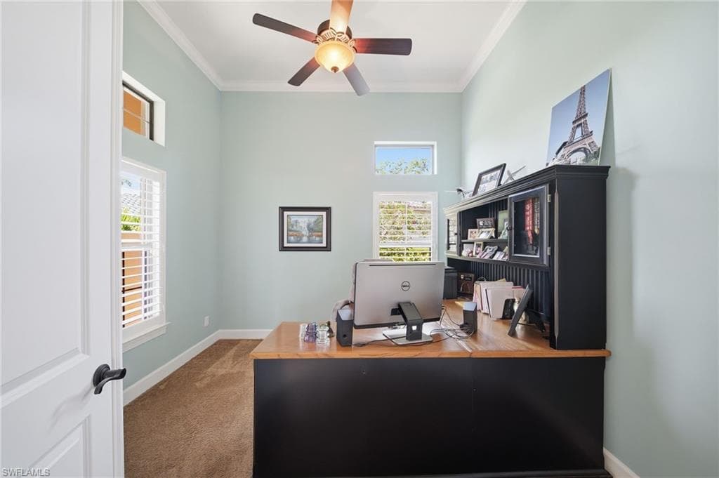 8816 Savona CT-24