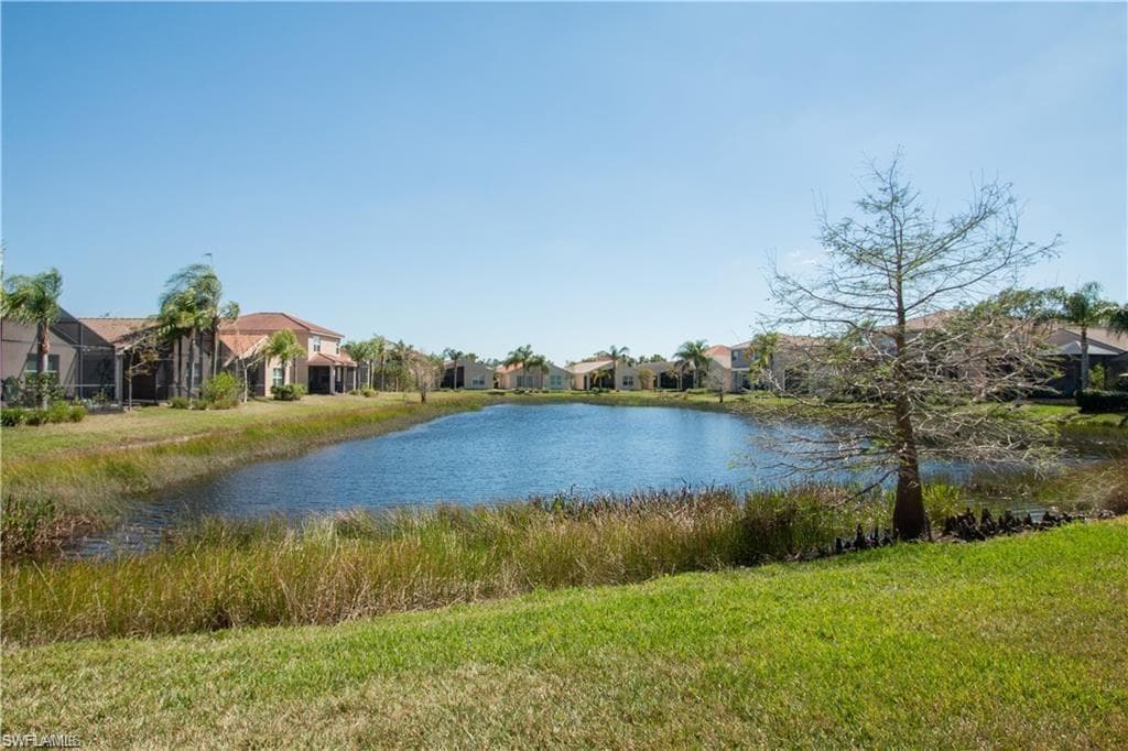 11031 Yellow Poplar DR-16