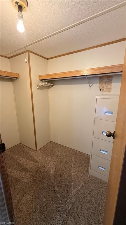 10651 Wales LOOP-17