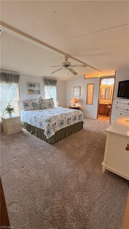 10651 Wales LOOP-14