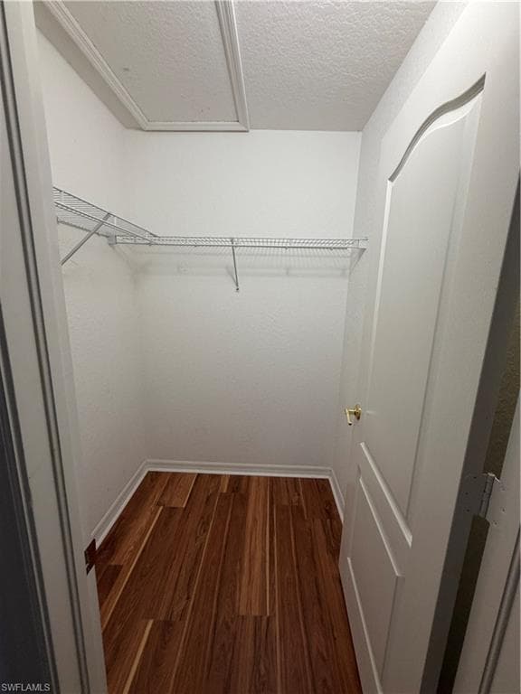 8541 Athena CT-13