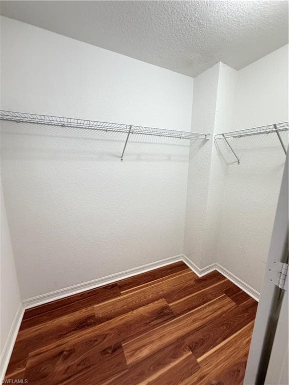 8541 Athena CT-11