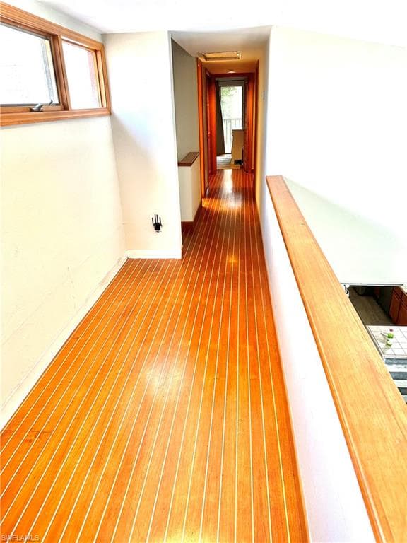 416 Bristle Cone LN-32