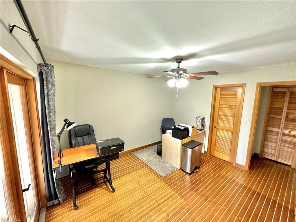 416 Bristle Cone LN-29