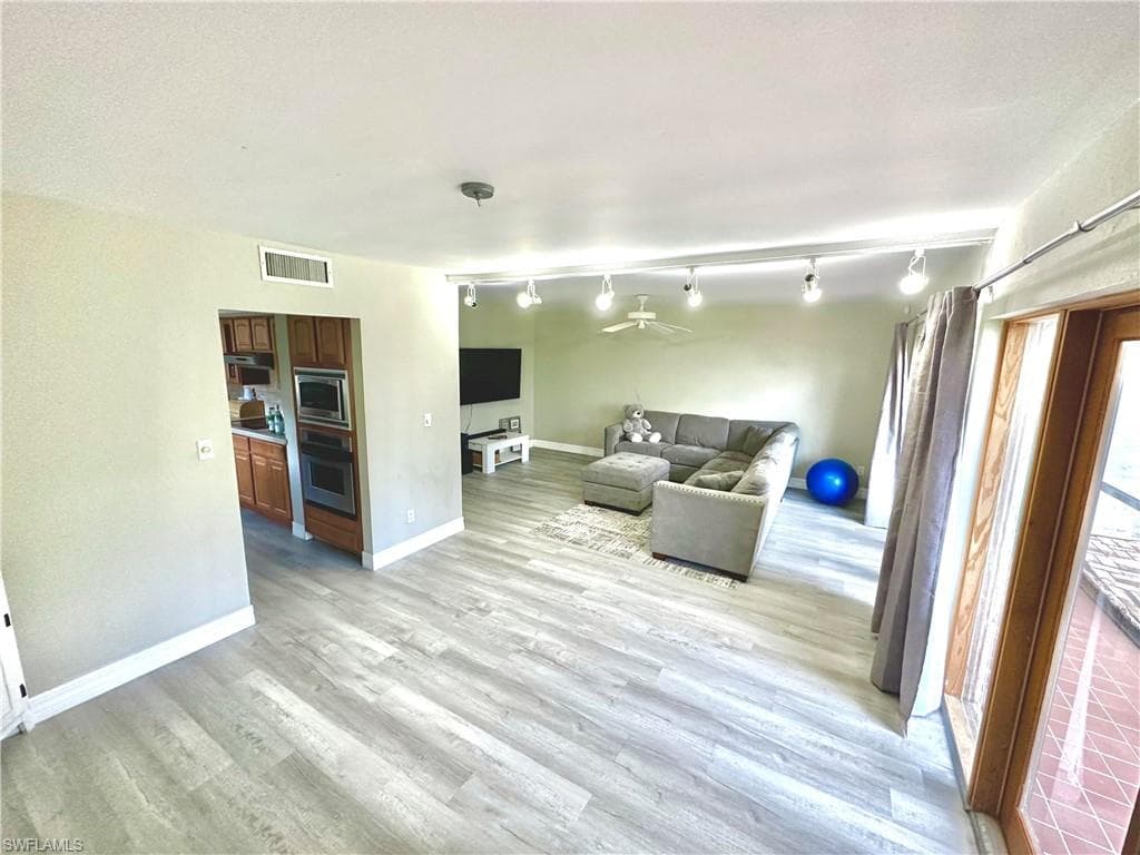 416 Bristle Cone LN-4