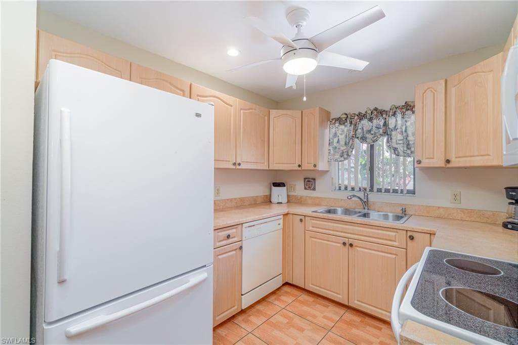7151 Blanquilla CT-11