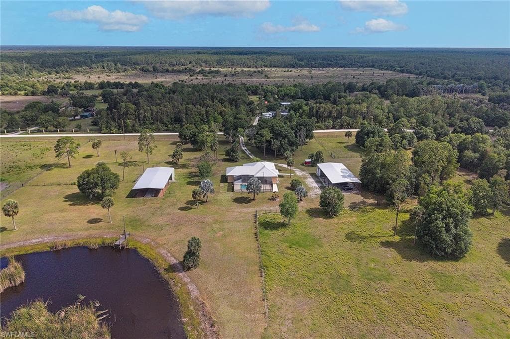 581 Wild Turkey DR-12