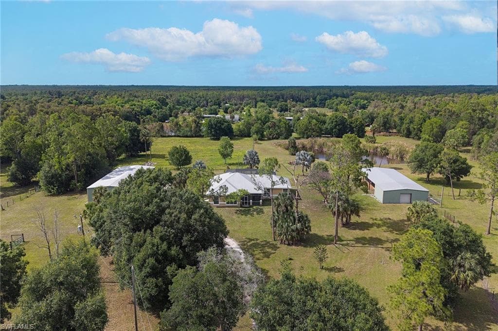 581 Wild Turkey DR-11