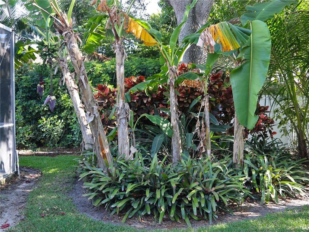 2554 Outrigger LN-33