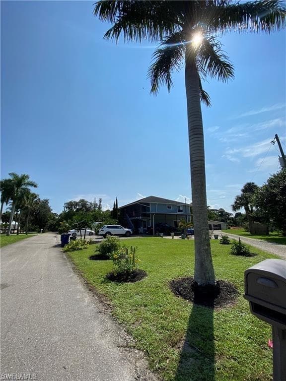 27599 Lime ST-3