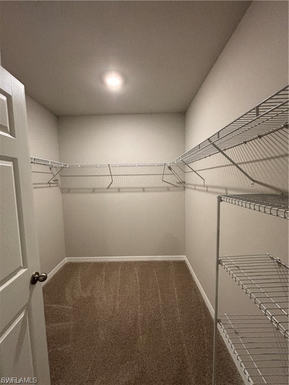 20461 Camino Torcido LOOP-15