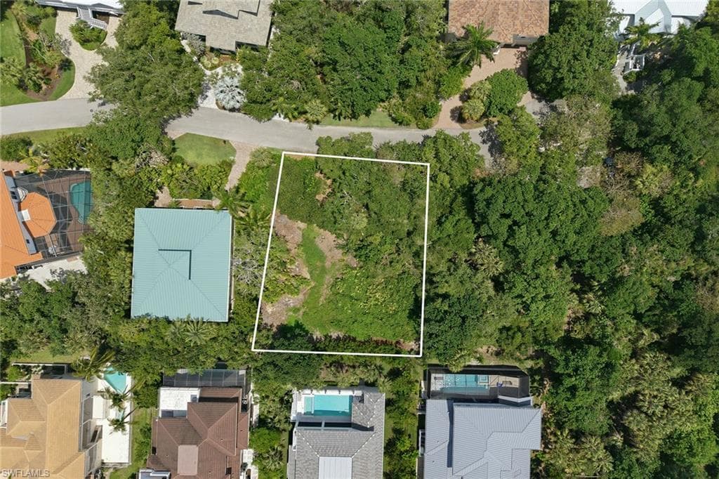 375 Gumbo Limbo LN-17