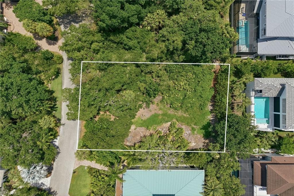 375 Gumbo Limbo LN-16