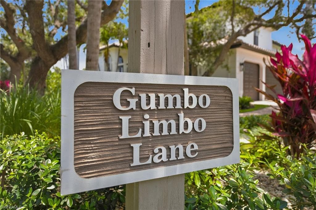 375 Gumbo Limbo LN-26