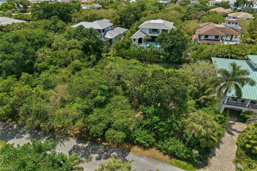 375 Gumbo Limbo LN-3