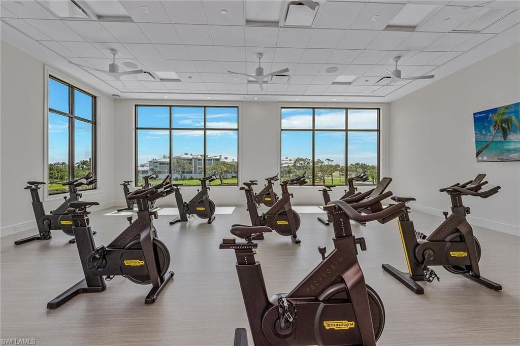 375 Gumbo Limbo LN-36