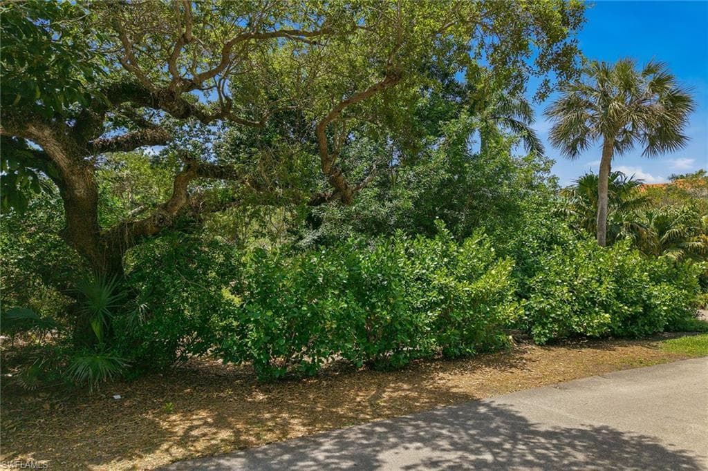375 Gumbo Limbo LN-24