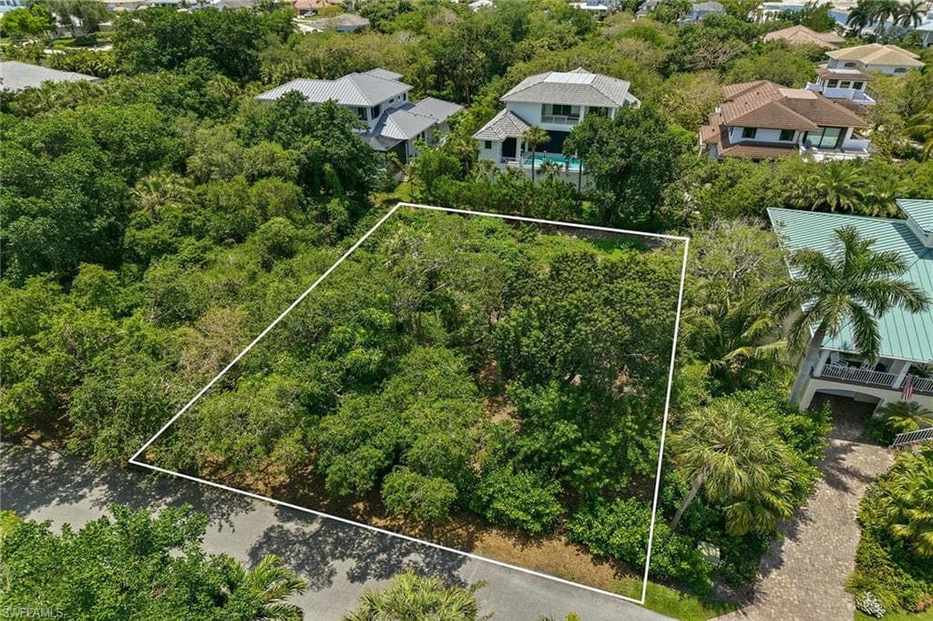 375 Gumbo Limbo LN-10