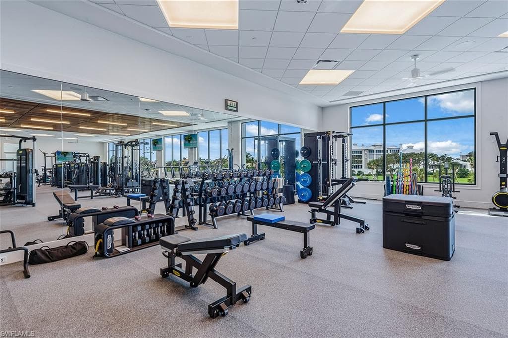 375 Gumbo Limbo LN-39