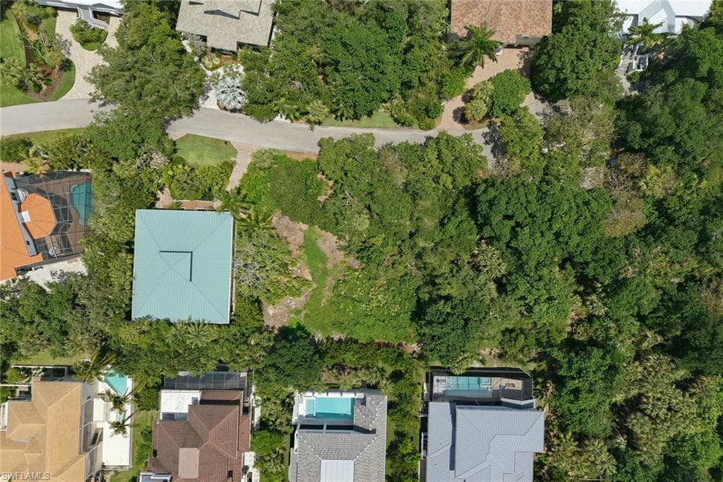 375 Gumbo Limbo LN-8