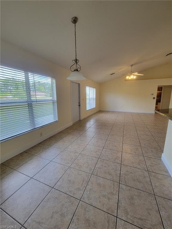 8071 Liriope LOOP-6