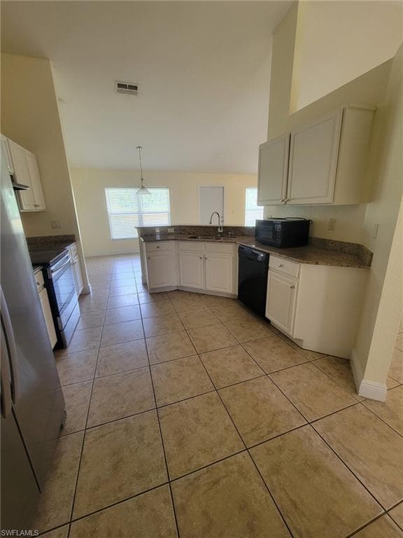 8071 Liriope LOOP-3