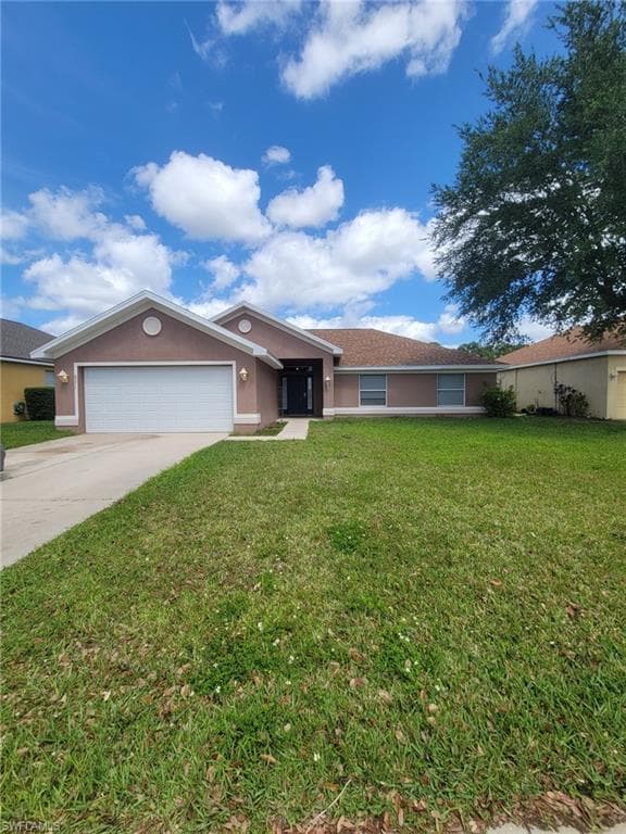 8071 Liriope LOOP-1