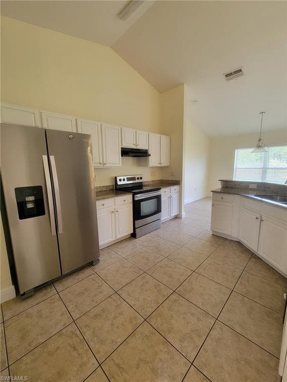 8071 Liriope LOOP-4