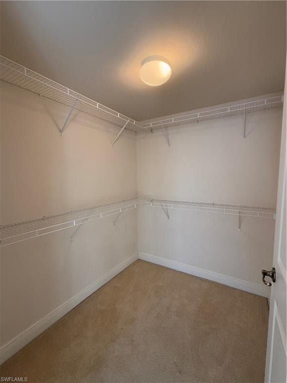3969 Pomodoro CIR 203-9