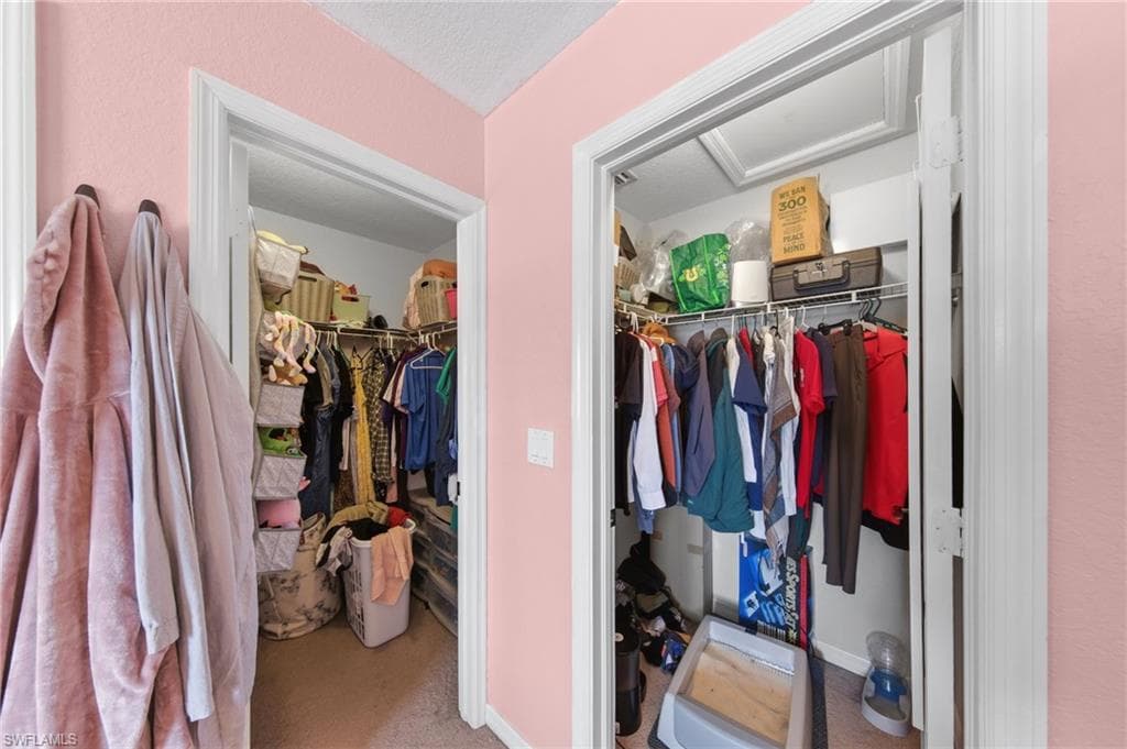 8587 Athena CT-23