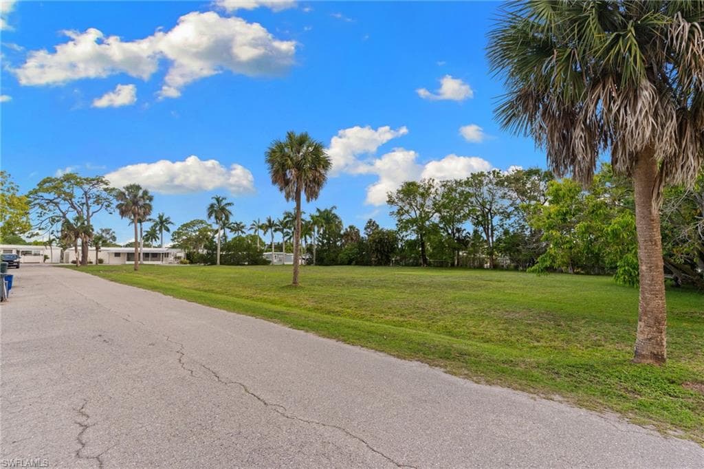3090 Pine Tree DR-9