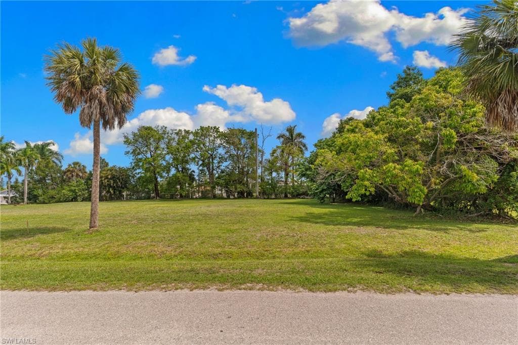 3090 Pine Tree DR-10