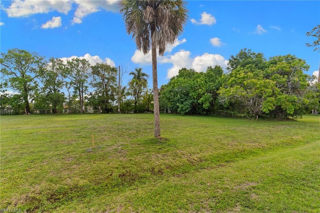 3090 Pine Tree DR-8