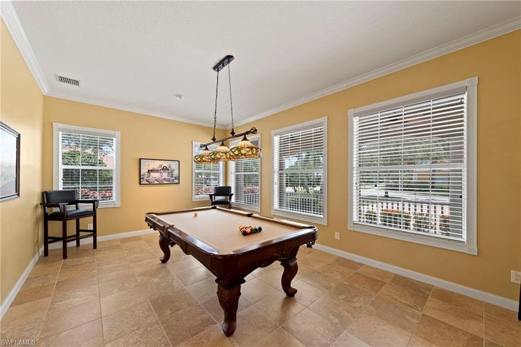 28287 Koi WAY-17