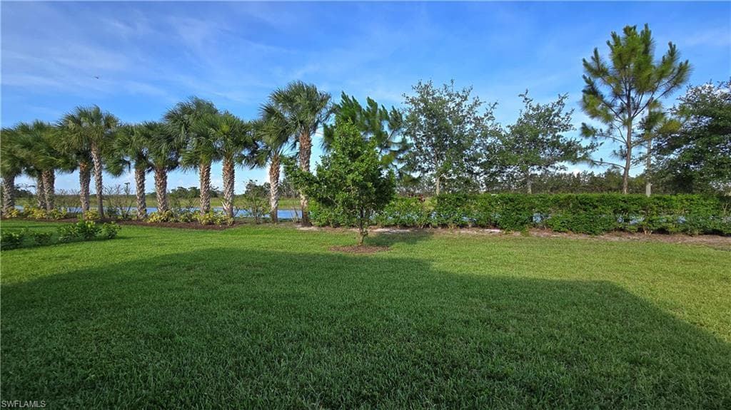 4881 Gambero WAY-18