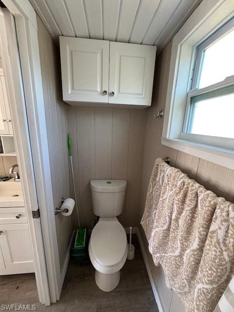 10232 Meadow Beauty TRL-22