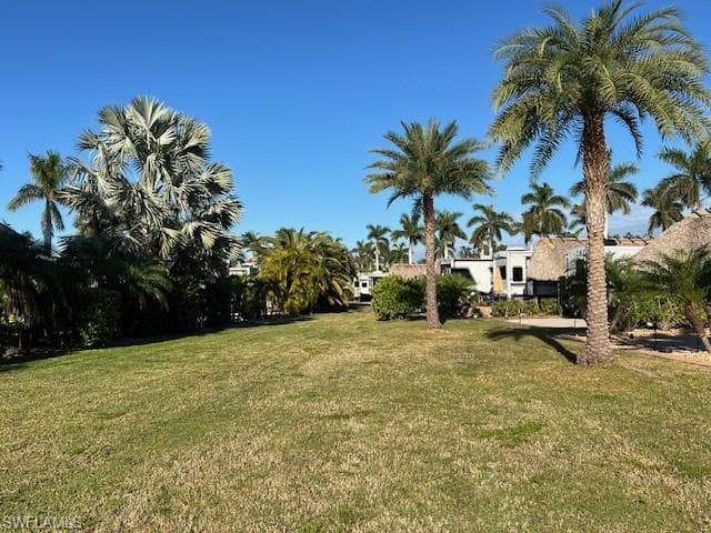 10232 Meadow Beauty TRL-36