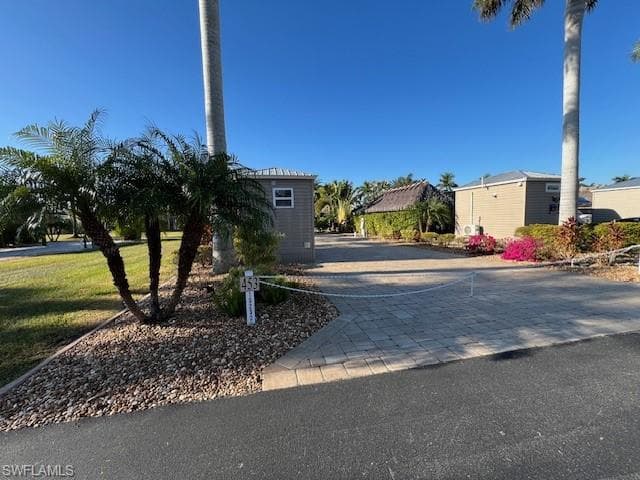 10232 Meadow Beauty TRL-1