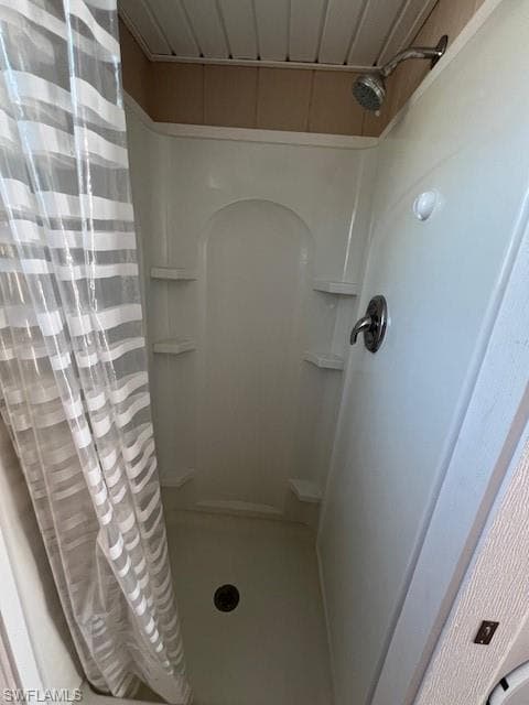 10232 Meadow Beauty TRL-24