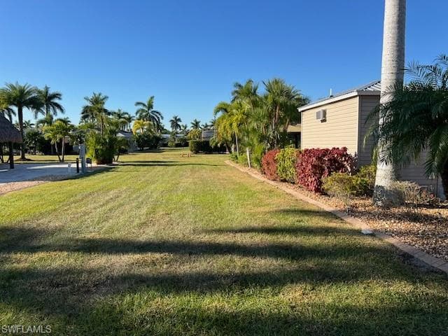 10232 Meadow Beauty TRL-41