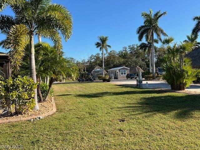 10232 Meadow Beauty TRL-37