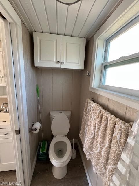 10232 Meadow Beauty TRL-21