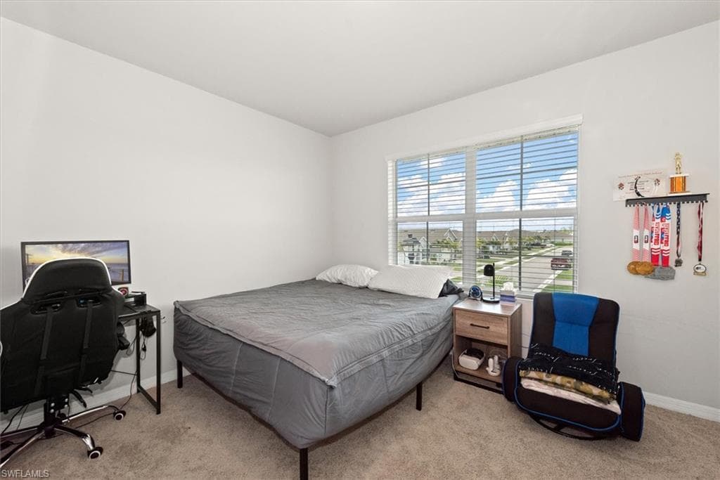 2849 Pillar Coral LN-16