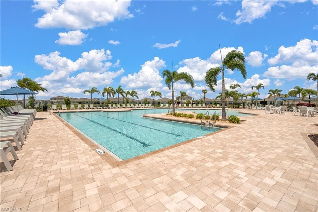 2849 Pillar Coral LN-3