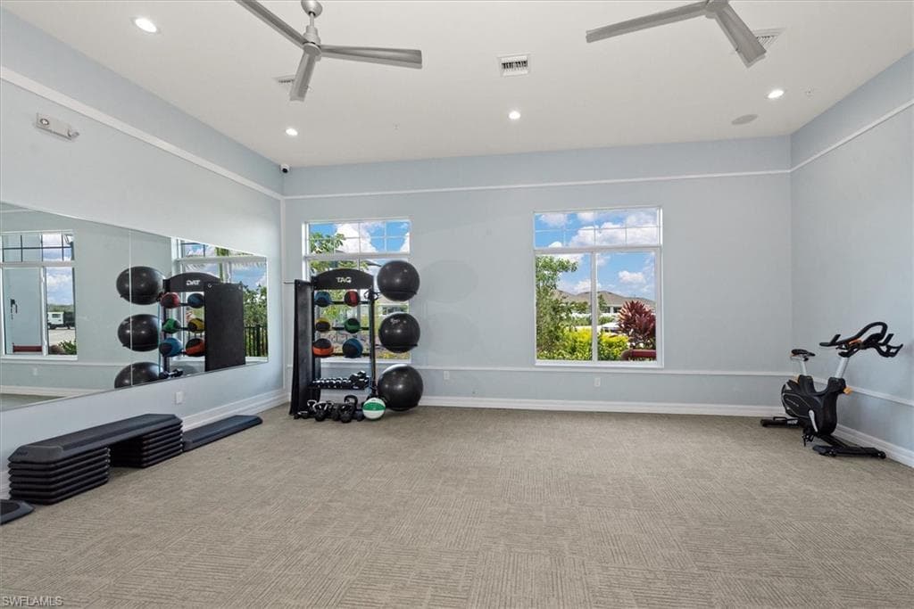 2849 Pillar Coral LN-30