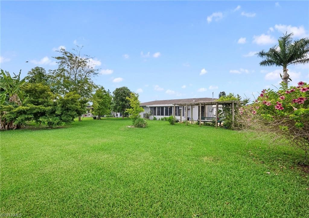803 Monet ST-31