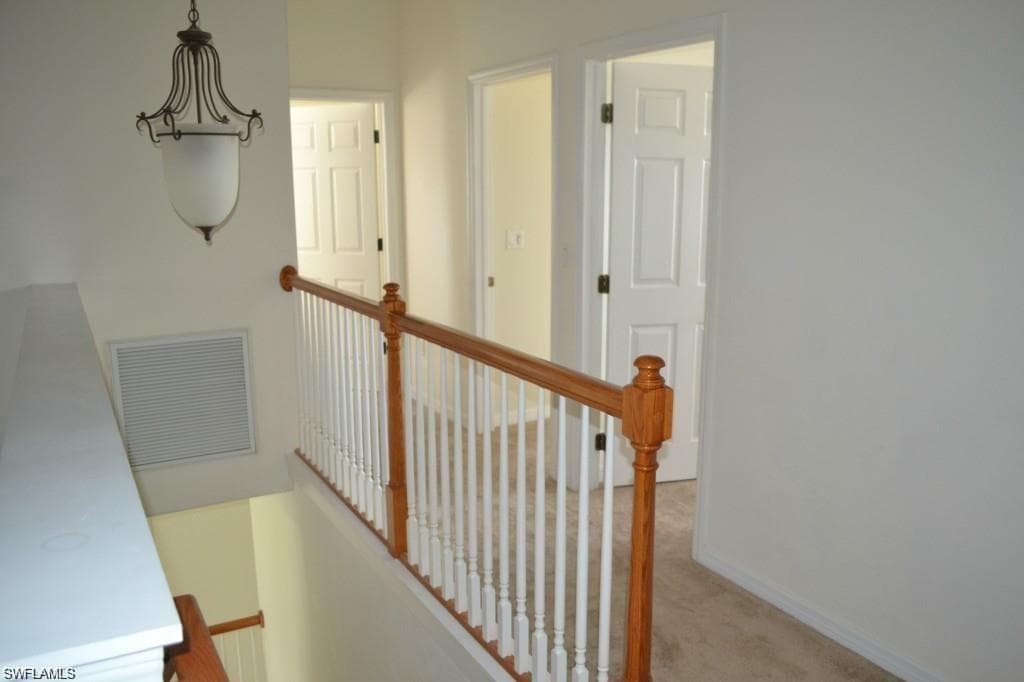 20561 Larino LOOP-13