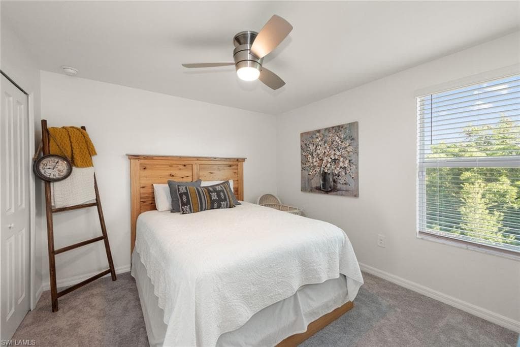 7149 Ponderosa Pine DR-20