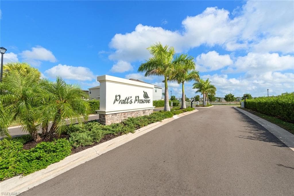 7149 Ponderosa Pine DR-34